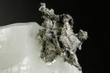 Native Silver in Calcite - Morocco #362732-1